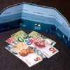 Ponzi Scheme - Imagen 5