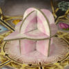 Bonfire - Imagen 4